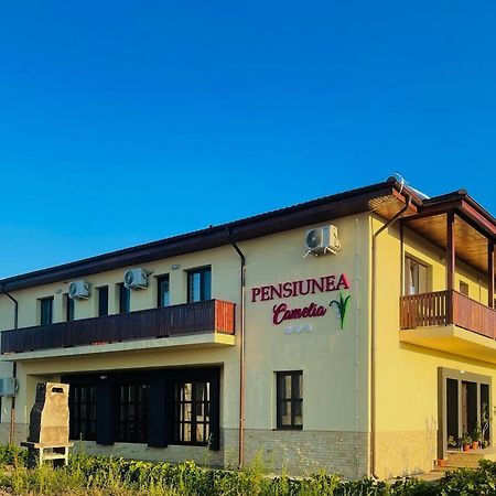 Pensiunea Camelia Baia Exteriér fotografie
