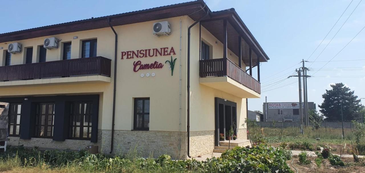 Pensiunea Camelia Baia Exteriér fotografie