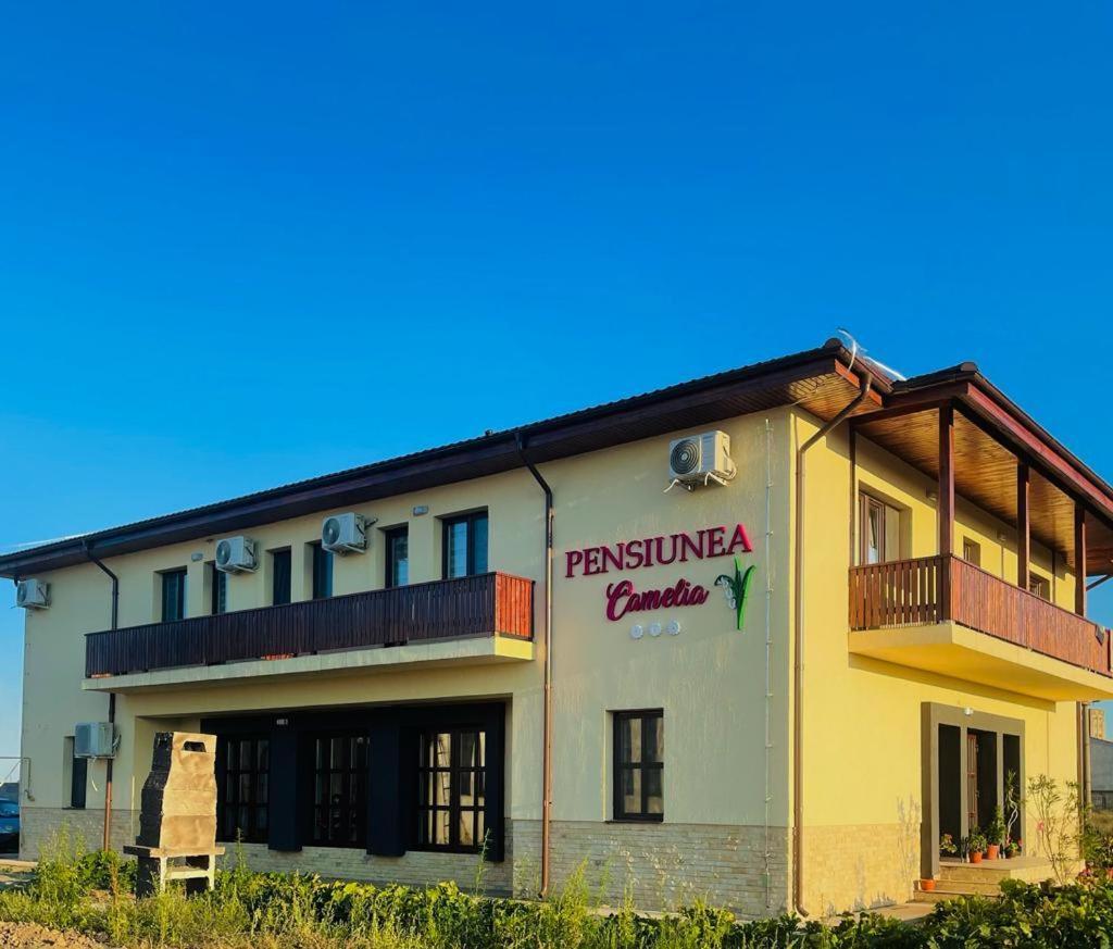 Pensiunea Camelia Baia Exteriér fotografie