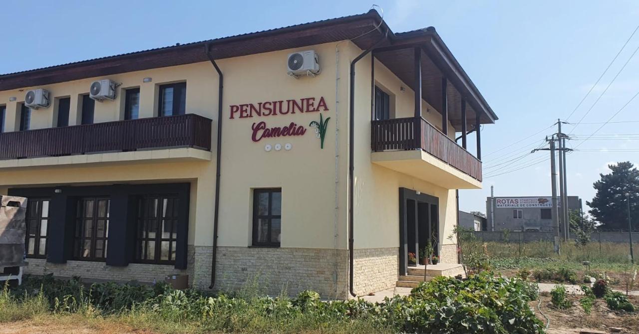 Pensiunea Camelia Baia Exteriér fotografie