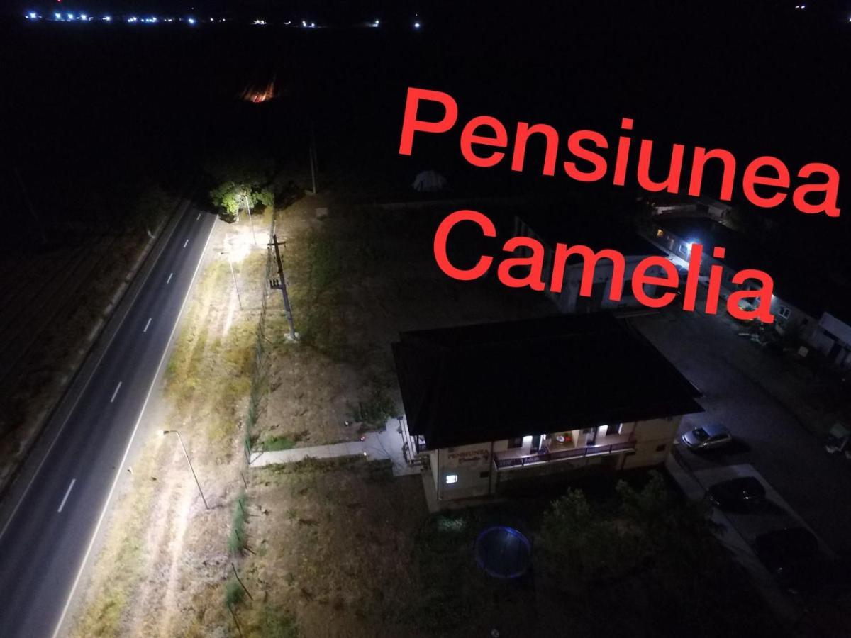 Pensiunea Camelia Baia Exteriér fotografie